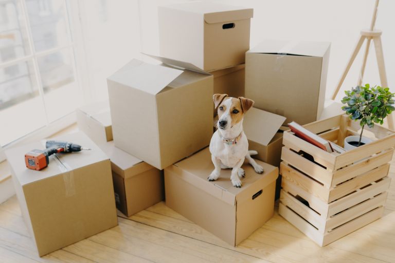 Full-Service Moving